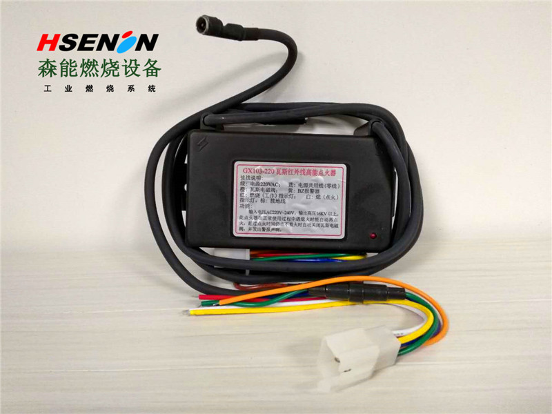 GX103-220點(diǎn)火器